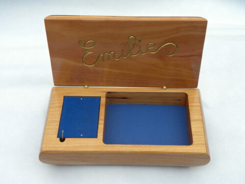 BMR coffret T1 pommier ouvert BMR coffret T1 pommier ouvert