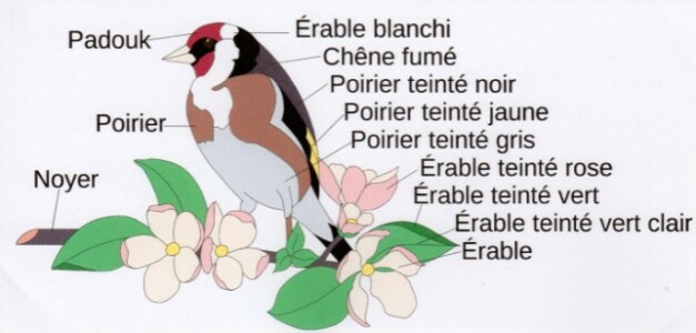 Marqueterie Chardonneret sur fleur de pommier Marqueterie Chardonneret sur fleur de pommier