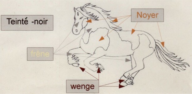 Marqueterie Cheval Marqueterie Cheval