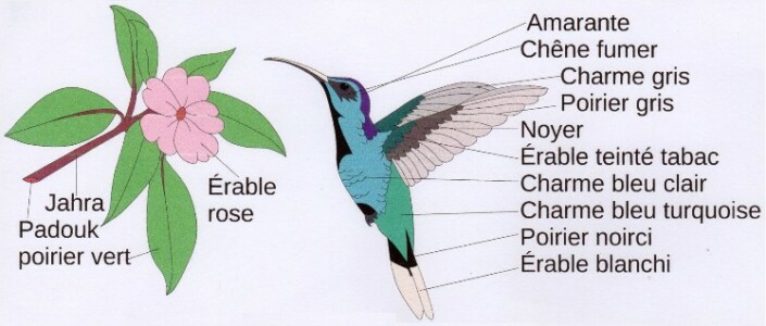 Marqueterie Colibri et Fleur de pommier Marqueterie Colibri et Fleur de pommier