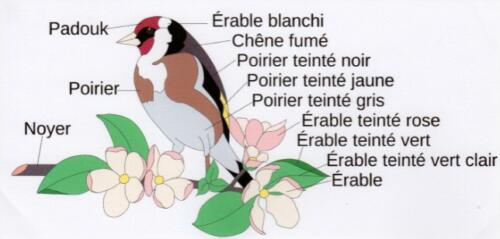 Marqueterie_Chardonneret