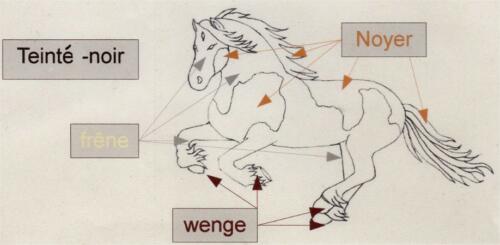 Marqueterie_Cheval