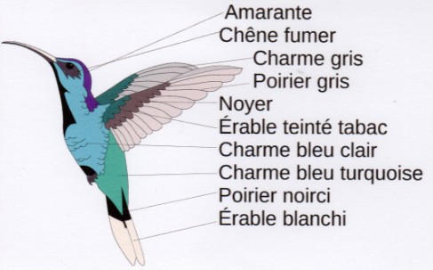 Marqueterie_Colibri