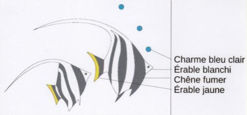 Marqueterie_PoissonsTropicaux